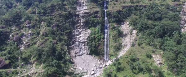 Software Engineering and Digital Services